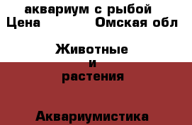 аквариум с рыбой › Цена ­ 3 000 - Омская обл. Животные и растения » Аквариумистика   